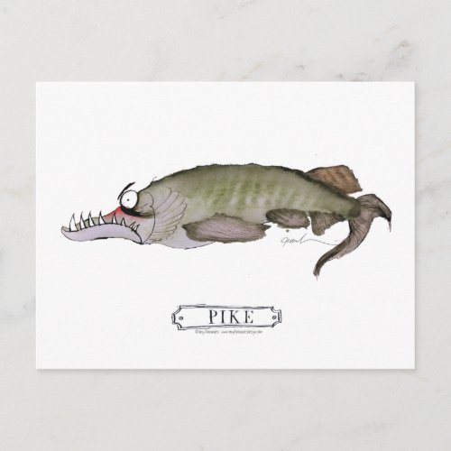 Pike fish tony fernandes postcard