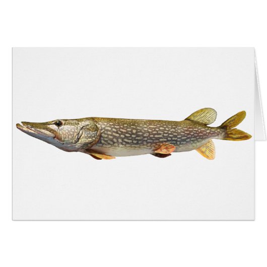 Pike Muski fishing (Front Horizontal)