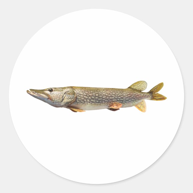 Pike Muski fishing Classic Round Sticker (Front)