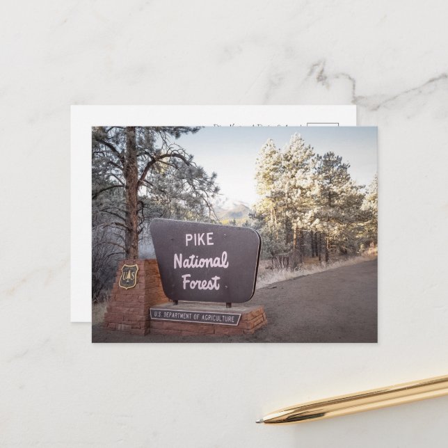 Pike National Forest Colorado Postcards  (Front/Back In Situ)
