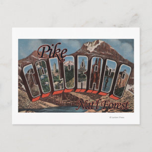 Pike Nat'l Forest, Colorado - Large Letter Scene Postcard