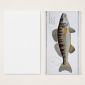 Pike-Perch (Perca lucioperca) plate LI from 'Ichth (Front & Back)