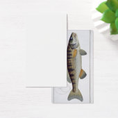 Pike-Perch (Perca lucioperca) plate LI from 'Ichth (Desk)