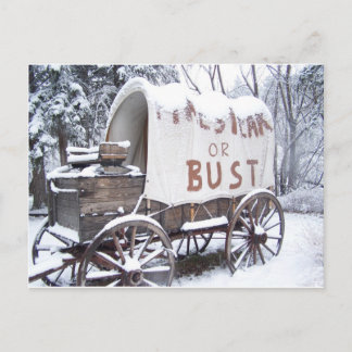 Pikes Peak or Bust Postcard