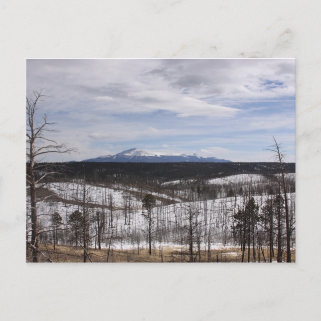 Pike's Peak Postcard (Front)