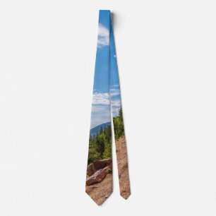 Pikes Peak Train Ride Neck Tie