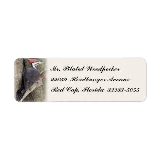 Pilated Woodpecker Custom Return Address Labels