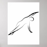 Pilates Pose  