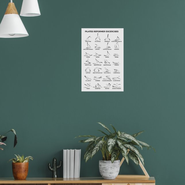 Pilates Reformer Exercises Poster (Living Room 1)