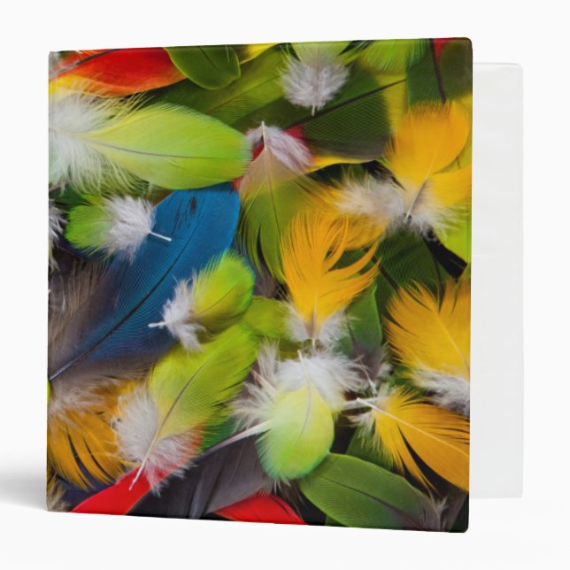 Pile of colorful feathers 3 ring binder (Front/Inside)
