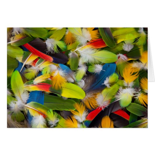 Pile of colorful feathers cards (Front Horizontal)