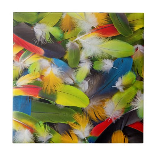 Pile of colorful feathers tile
