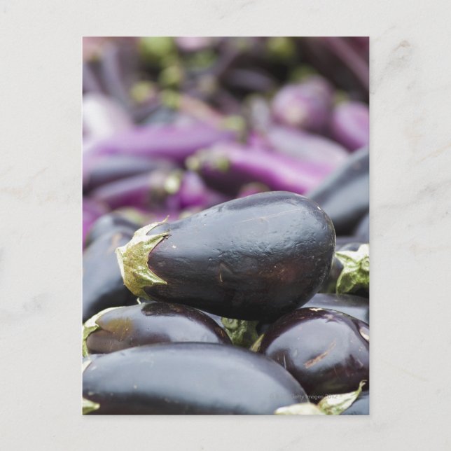 Pile of eggplant postcard (Front)