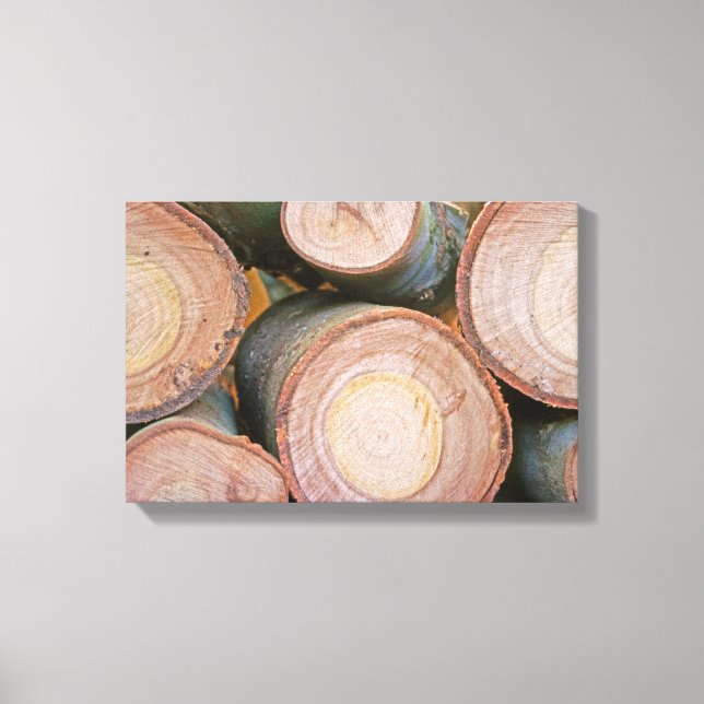 Pile of logs canvas print (Front)