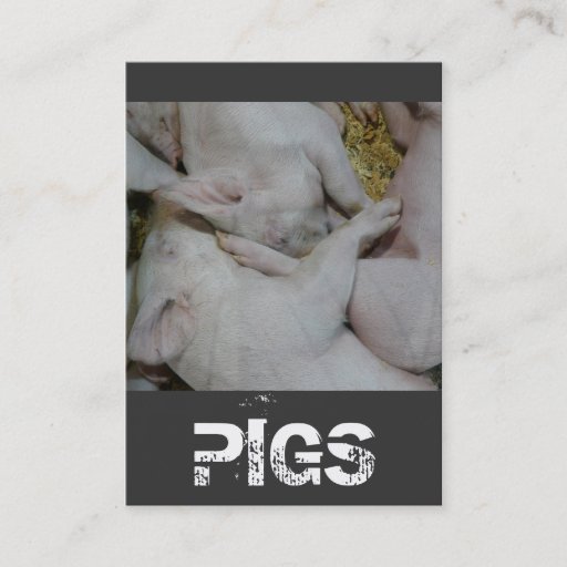 Customizable Pile of Piglets Pig Farm or Ranch Business Card