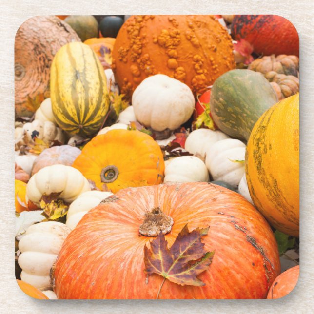 Pile Of Pumpkins And Squash Beverage Coaster (Front)