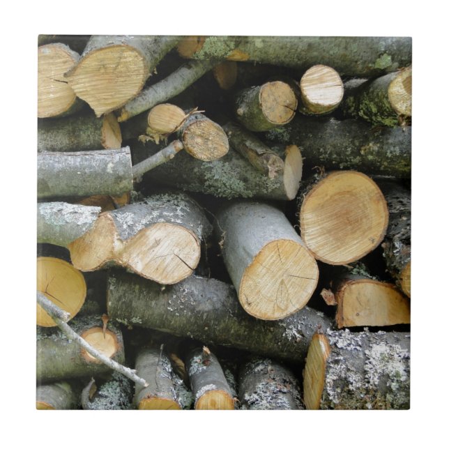 Pile of Stacked Cut Firewood Ceramic Tile (Front)