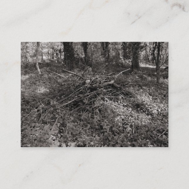 Pile of Sticks Business Card (Front)