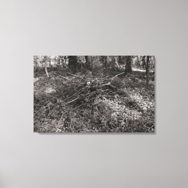 Pile of Sticks - Warm Toned Black and White Canvas Print (Front)