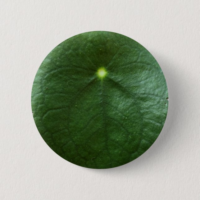 Pilea Peperomioides Button (Front)