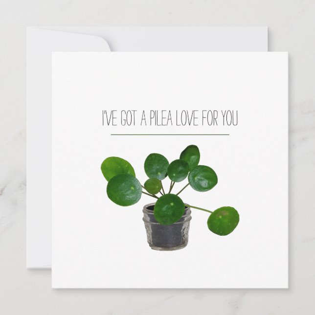 Pilea Sweet Plant Pun Valentine Holiday Card (Front)