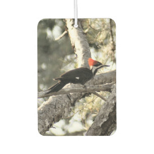 Pileated Woodpecker Air Freshener