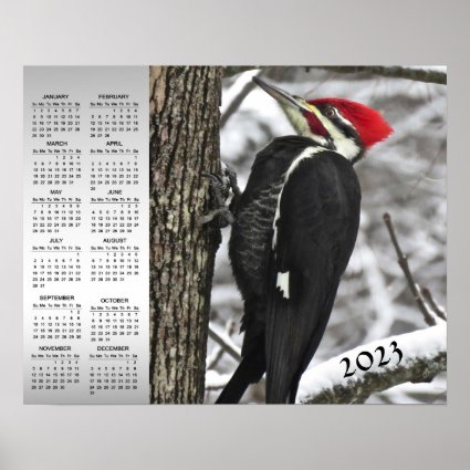 Pileated Woodpecker Bird 2023 Animal Calendar