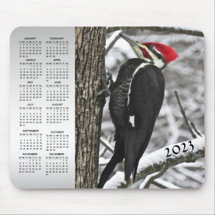 Pileated Woodpecker Bird 2023 Calendar Mousepad