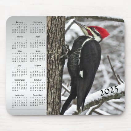 Pileated Woodpecker Bird 2025 Calendar Mousepad