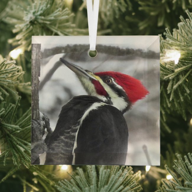 Pileated Woodpecker Bird Beveled Glass Ornament
