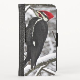 Pileated Woodpecker Bird iPhone X Wallet Case