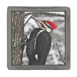 Pileated Woodpecker Bird Lapel Pin