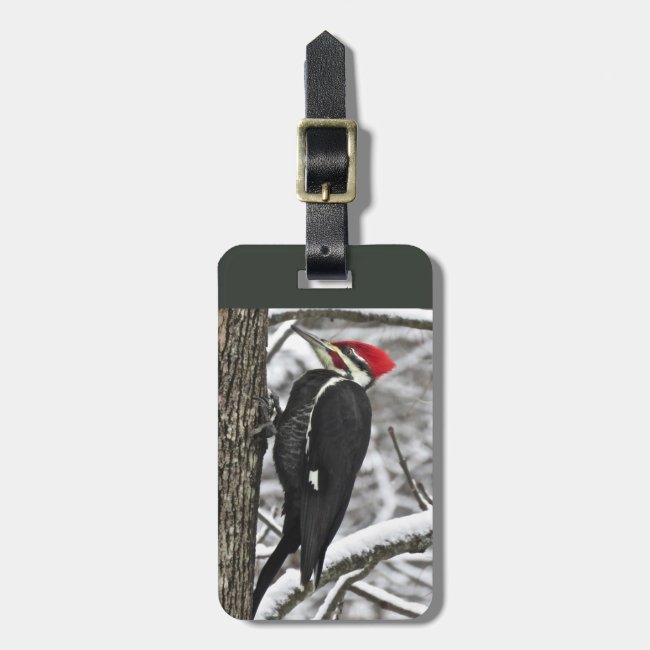 Pileated Woodpecker Bird Luggage Tag