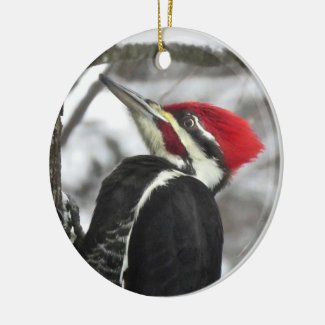 Pileated Woodpecker Bird Ornament