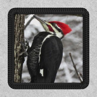 Pileated Woodpecker Bird Patch
