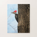 Pileated Woodpecker - Bird - Puzzle at Zazzle