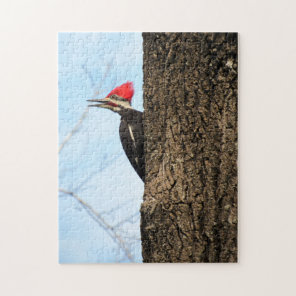 Pileated Woodpecker - Bird - Puzzle