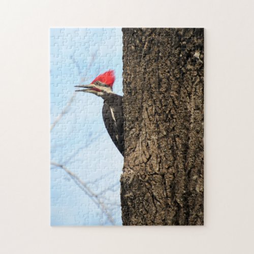 Pileated Woodpecker _ Bird _ Puzzle