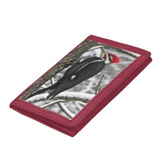 Pileated Woodpecker Bird Wallet