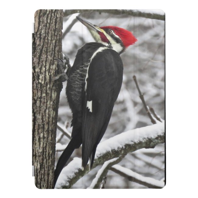Pileated Woodpecker Bird Winter 12.9 iPad Pro Case