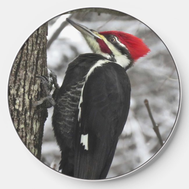 Pileated Woodpecker Bird Wireless Charger
