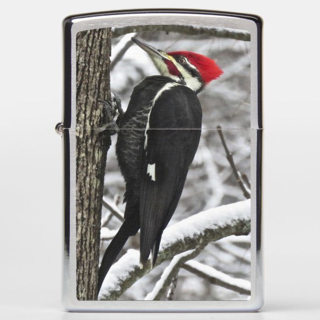 Pileated Woodpecker Bird Zippo Lighter