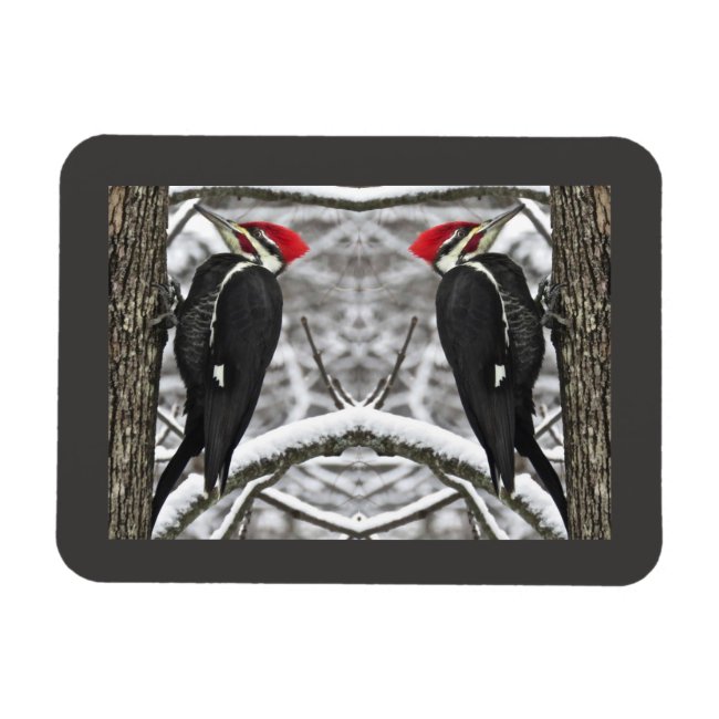 Pileated Woodpecker Birds Abstract Flexible Magnet