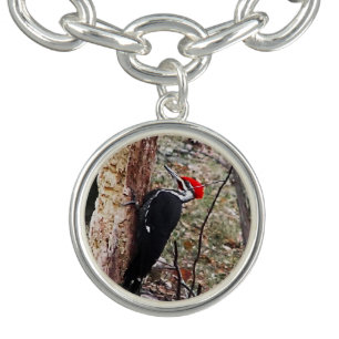Pileated Woodpecker Bracelet