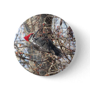 Pileated Woodpecker button