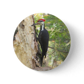 Pileated Woodpecker button