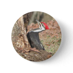 Pileated Woodpecker button