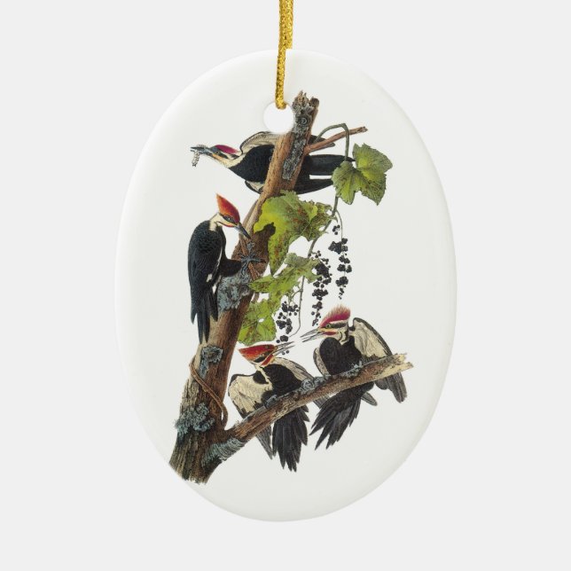 Pileated Woodpecker by Audubon Ceramic Ornament (Front)