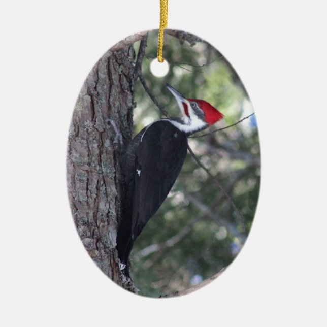 Pileated Woodpecker Ceramic Ornament (Front)