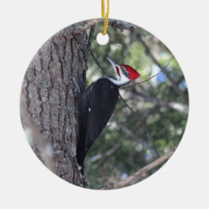 Pileated Woodpecker Ceramic Ornament